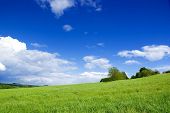 picture of blue sky  - Meadow with clouds - JPG 