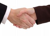 picture of handshake  - close - JPG 