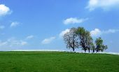 image of blue sky  - open field and sky separated by a fence - JPG 