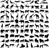 picture of animals  - Hundred silhouettes of wild animals from Africa - JPG 
