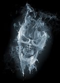 pic of skull  - Skull - JPG 