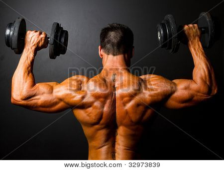 Picture or Photo of Rear view of bodybuilder training with dumbbells on black background