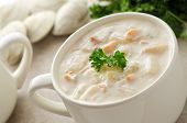 stock photo of cup  - A delicious cup of New England clam chowder with parsley garnish and clams in the shell - JPG 