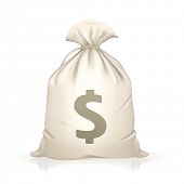 picture of money  - Money Bag - JPG 