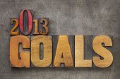 picture of type  - 2013 goals  - JPG 